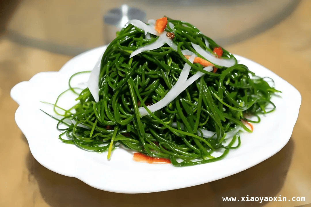 民勤：沙漠中的绿色明珠，生态与美食的梦幻之境 民勤：生态奇迹背后的文化与美食传奇