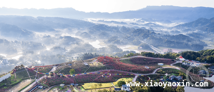 用镜头记录蛇年春日，参与上游新闻摄影展，聚焦春色之美，上游新闻摄影展诚邀投稿