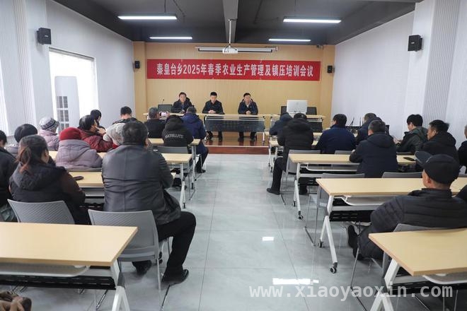 滨城区秦皇台乡：文化书院成村民“打卡地”