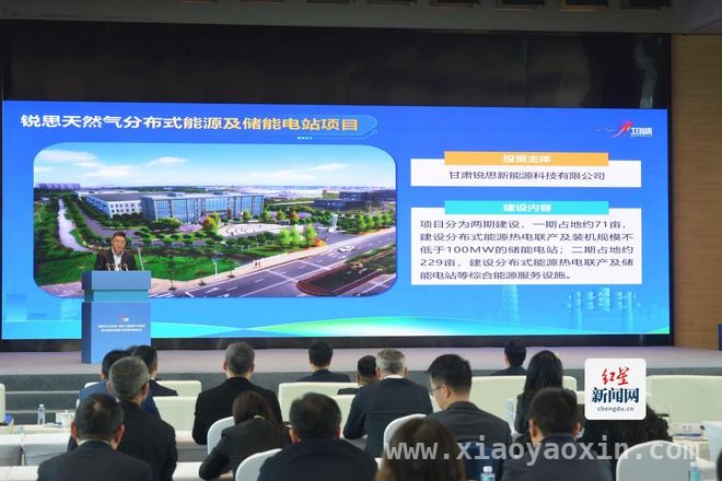 聚焦四大方向，邛崃2025年首季产业项目开启发展新征程