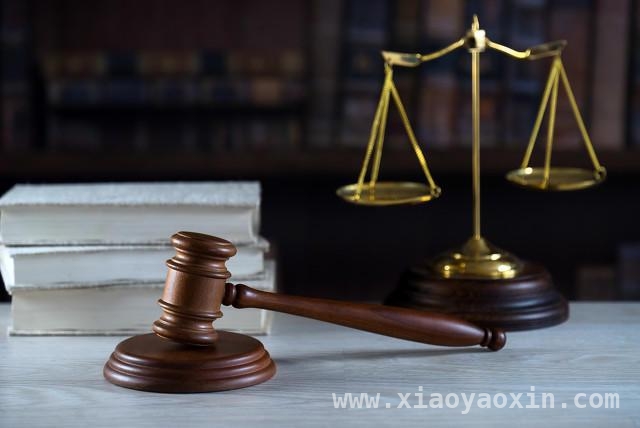 3月20日最高法推种业典型案例，护航种业创新发展，最高法发布种业案例，多举措守护种业创新未来