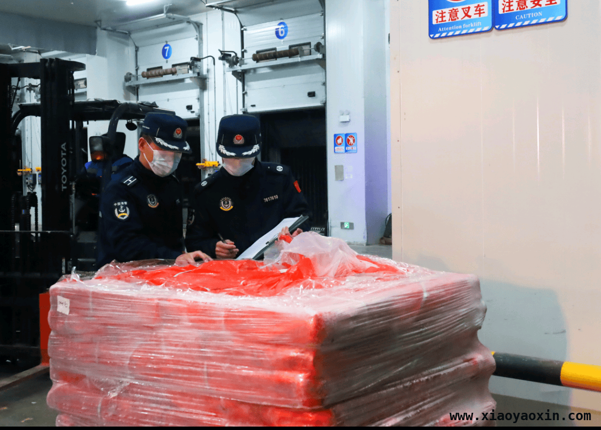 揭阳海警局：以实际行动打击走私，870吨冻品集中销毁