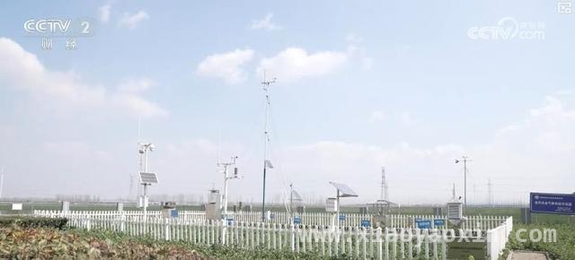科技力量激活漯河小麦春管，为夏粮丰收筑牢根基，漯河小麦春管进行时，智慧农业引领夏粮新希望