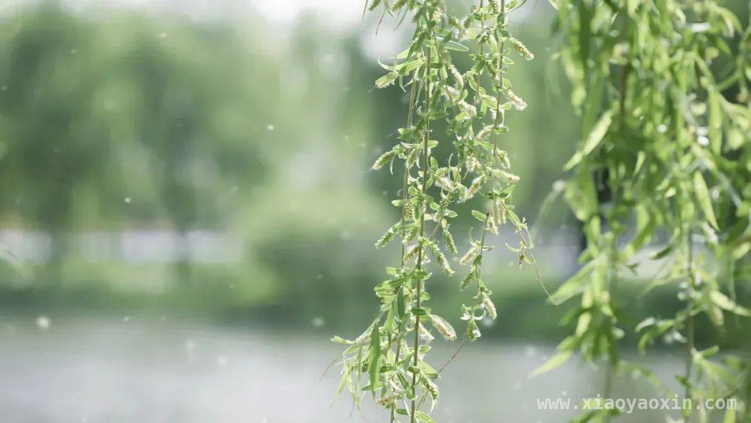 不碰花却花粉过敏？天津专家揭秘原因与防护法，三月踏青遇“过敏危机”，远离花粉这样做！