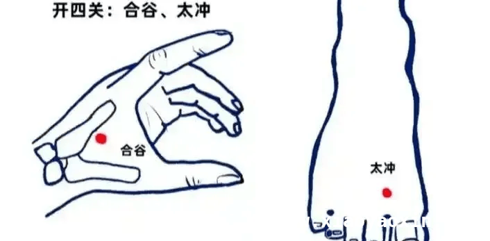 中医智慧：穴位调理让结节无处遁形