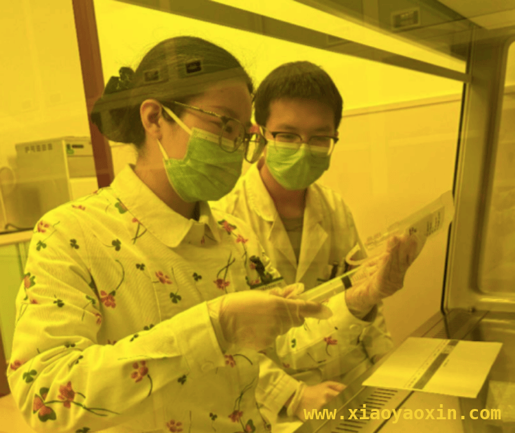 西南首例！重庆医科大学附二院特发性肺纤维化干细胞试验给药成功，重庆医科大学附二院：特发性肺纤维化治疗新突破，点亮患者希望