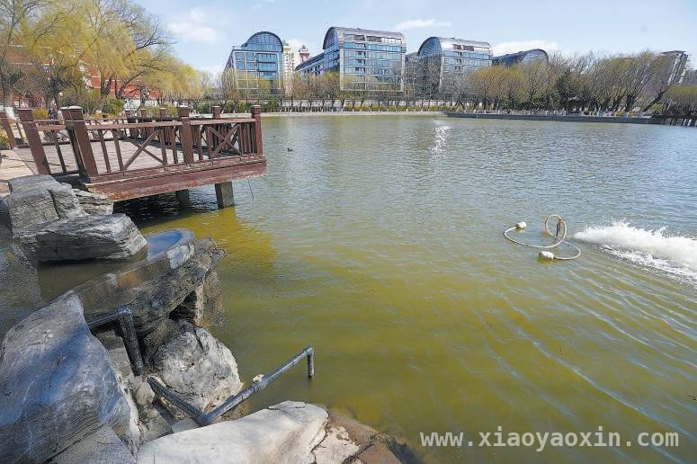 4. 2025“节水中国行”在京举办，朝阳区引领超大城市节水新潮流，2. 聚焦“世界水日”“中国水周”，朝阳区节水成果惊艳亮相