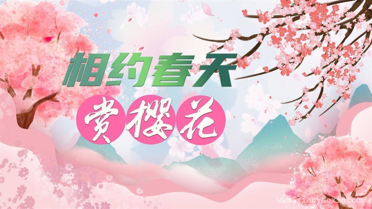 樱花季湖北文旅升温，邀世界赴春日之约