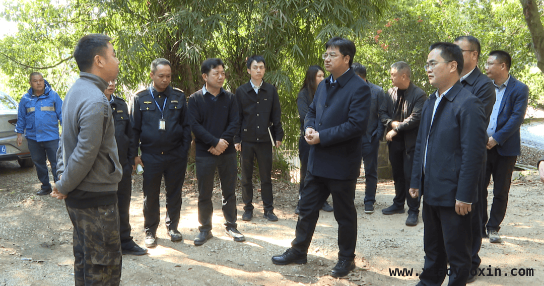 朱以威实地调研，擘画龙川现代化产业体系新蓝图，朱以威率队调研，助力龙川制造业高质量发展