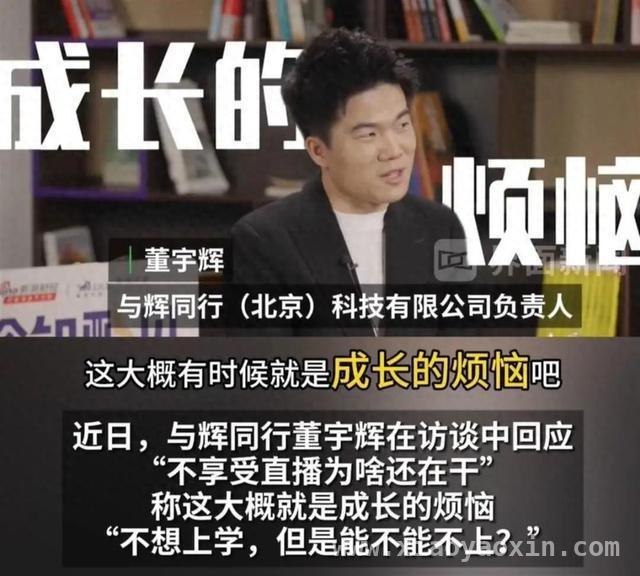 董宇辉离职风波：从职业抉择到直播困境的深度剖析 董宇辉离职背后：情义、抉择与成长的烦恼