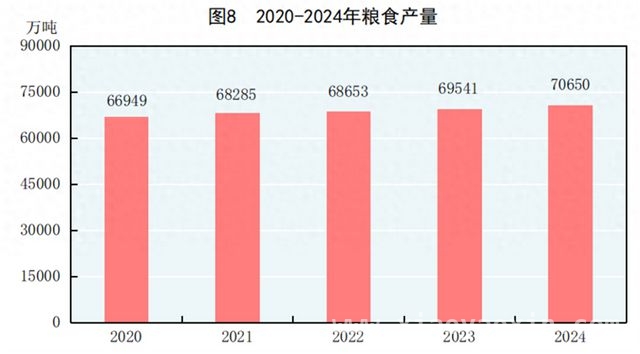 2024年农业数据解读：从播种到收获的全景展示