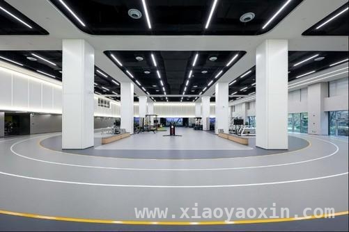 OPPO滨海湾运动健康实验室揭幕，为全民健康添动力，OPPO运动健康实验室落成，多款创新成果即将登场