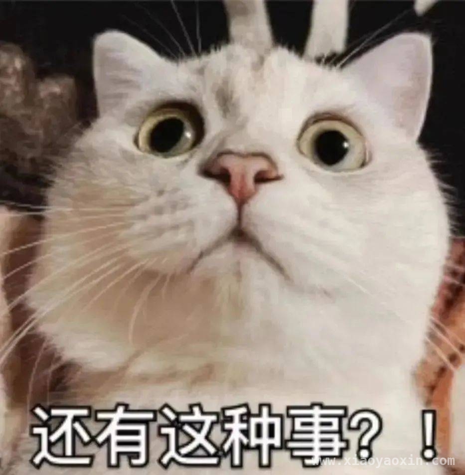 冒充客服诈骗大揭秘，鹿邑警方精准止付挽损42万，鹿邑反诈中心出击，42万挽回背后的冒充客服诈骗套路