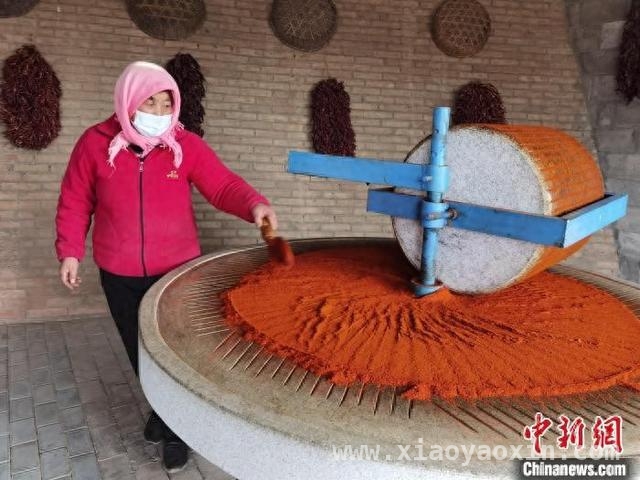 庆阳农文旅融合：深山村庄开启乡村振兴新篇
