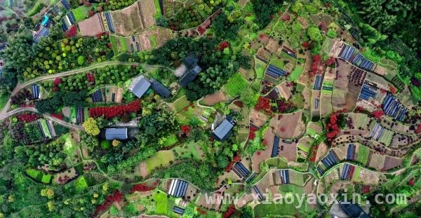 江津春日旅游新玩法，开启多彩之旅
