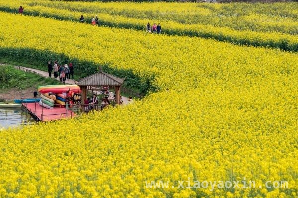江津春日旅游新玩法，开启多彩之旅