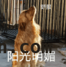 春分至，好时光与防火同行，春分时节：晴朗春日与消防知识共知