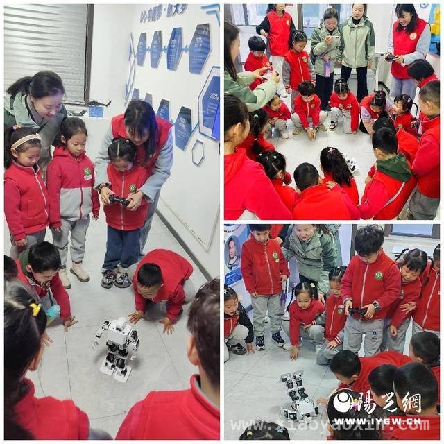 武功县科普活动：为青少年开启科学探索之门，武功县科普实践：引领青少年踏上奇妙科学之旅