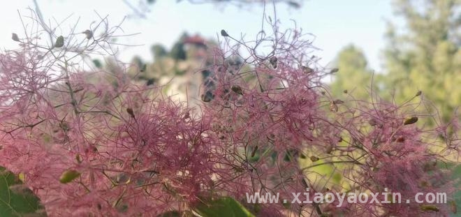 拥抱春天，高校与中小学春假安排大揭秘，高校春假来袭，学子共赴春日之约
