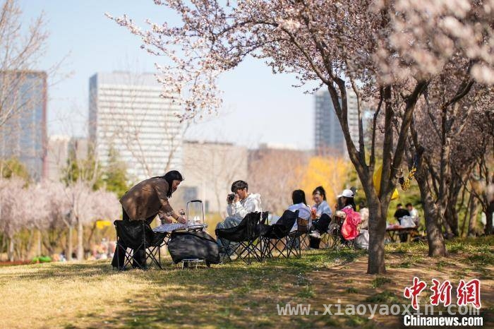 郑州春日：市民户外开启惬意露营之旅，郑州春日好景，市民户外畅享欢乐时光