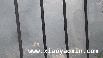 预防电器火灾，守护家庭安全，惊心！电气线路故障引发住宅火灾