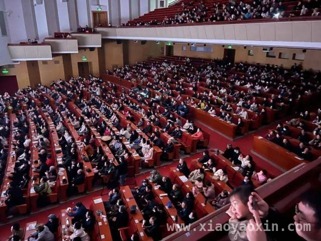 豫剧常派〈白蛇传〉惊艳上演，传统文化焕新魅力