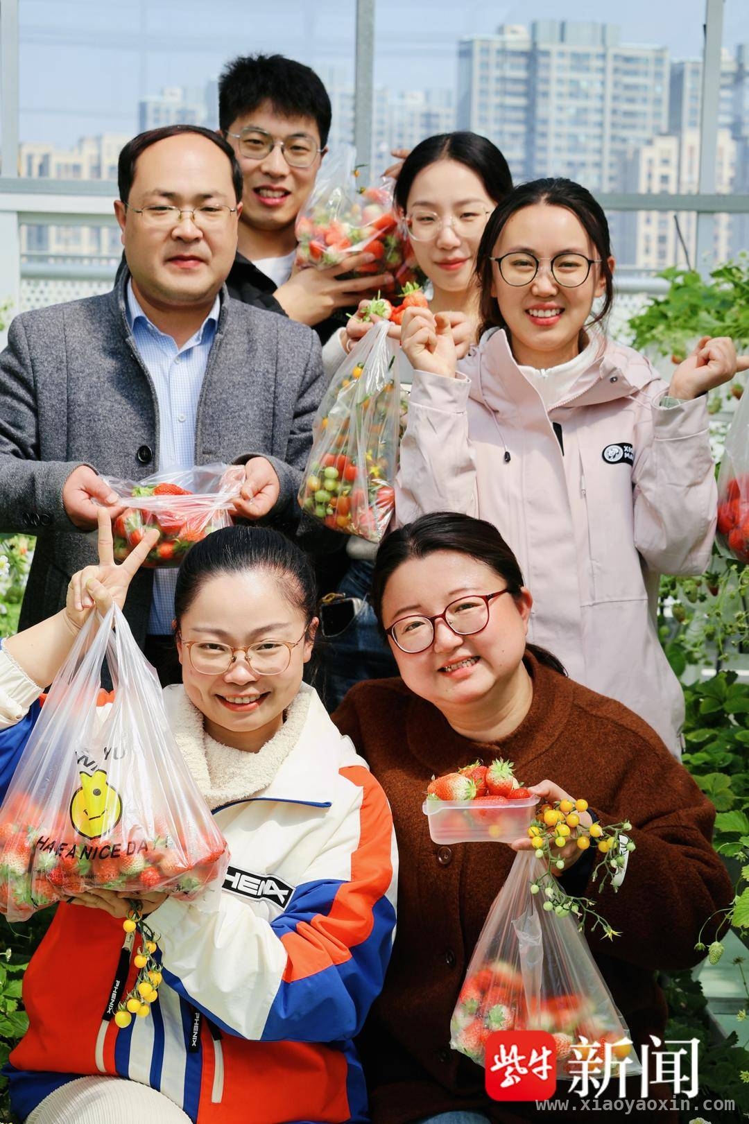 春意里，中华中学屋顶草莓助力高三“一模”