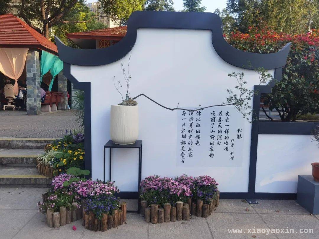 古韵新潮！福州园林杜鹃盆景惊艳亮相