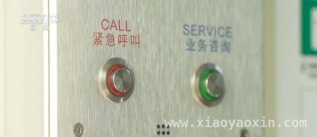 少年危机时刻出彩，安全知识显威力，儿童危机应对典范，机智勇敢成榜样