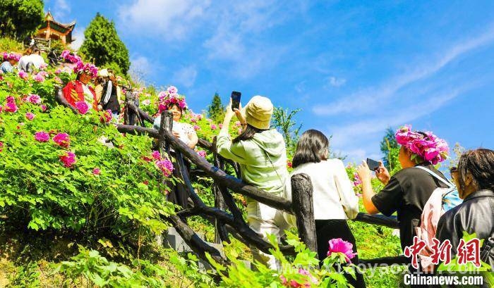 垫江牡丹文化节：以花为媒，撬动经济新增长