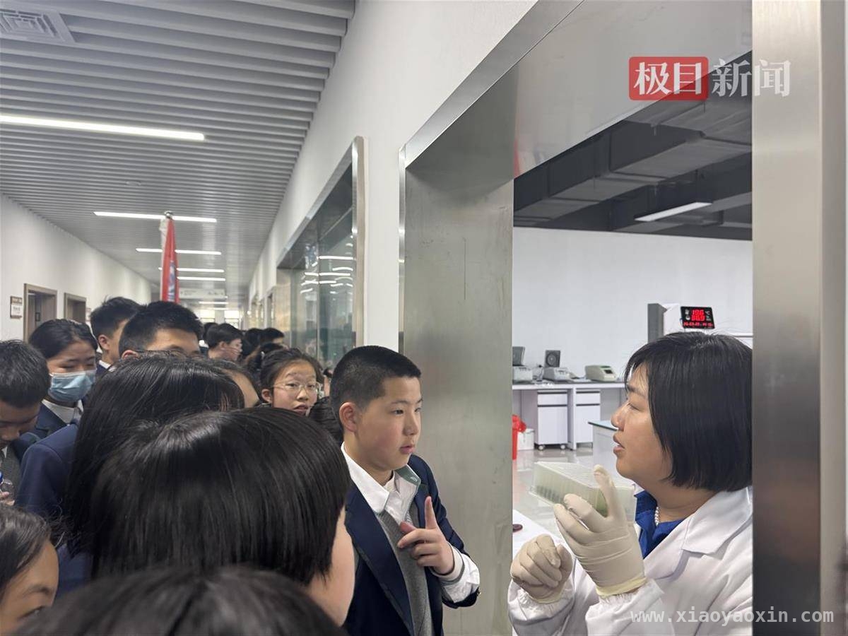 走进洪山实验室，学生开启粮食安全科技之旅