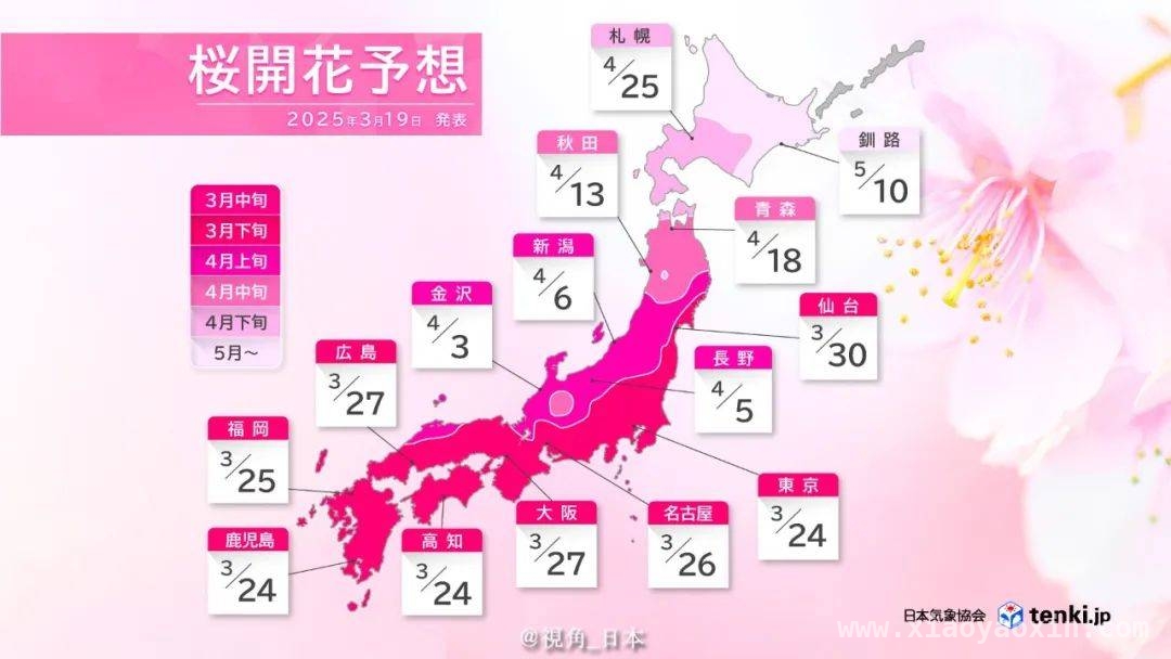 日本樱花盛开在即，邂逅春日浪漫，日本樱花季开启，赏花攻略提前看！