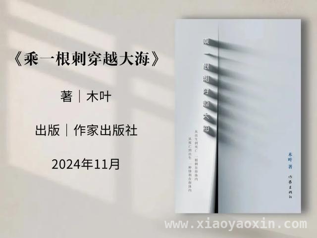 木叶诗歌：打破诗的边界，映照时代与自我，走进木叶诗集，感受诗歌里的李白与宇宙之美