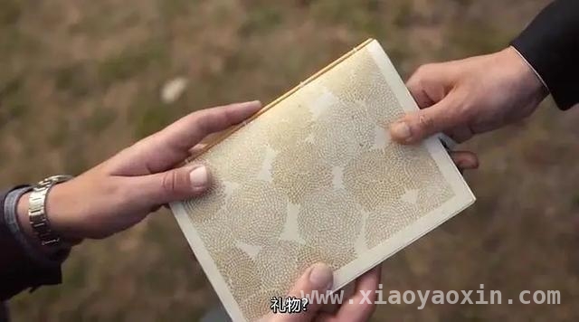木叶诗歌：打破诗的边界，映照时代与自我，走进木叶诗集，感受诗歌里的李白与宇宙之美