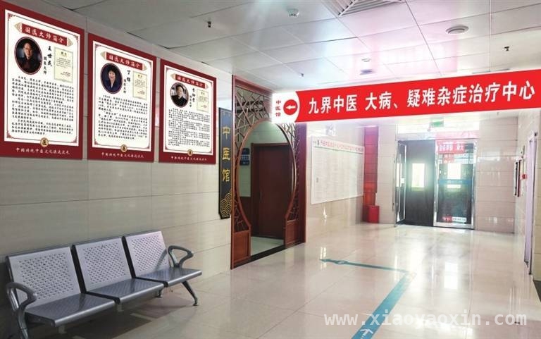九界中医：以创新之姿，绘就中医药振兴蓝图，通许九界中医：解锁中医密码，引领行业新变革