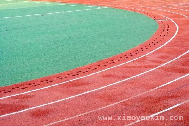 中南财经政法大学3000米体测：学生困扰与校方回应