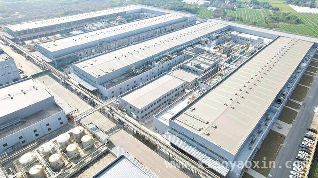 邛崃金堂同日发力：新能源与食用菌产业项目闪耀登场