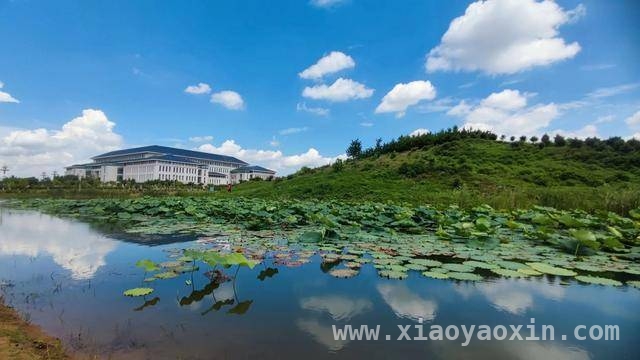 信阳首个露营产业学院揭牌，开启文旅教育新篇章，信阳文旅与高校携手，全省首个露营产业学院诞生