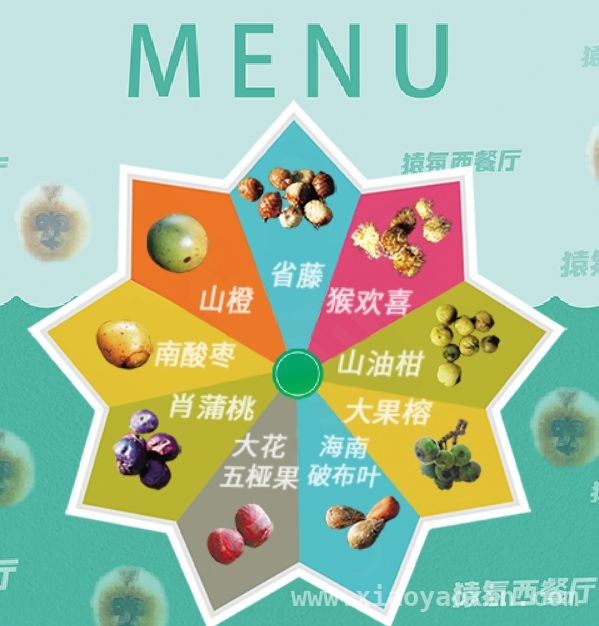 从濒危到“网红”，海南长臂猿的逆袭之路，海南长臂猿“吃播”爆火，带你探秘它的奇妙“猿生”