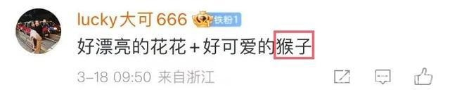 从濒危到“网红”，海南长臂猿的逆袭之路，海南长臂猿“吃播”爆火，带你探秘它的奇妙“猿生”