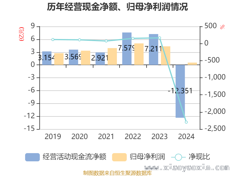 透视新诺威：高市盈率下的资产、研发与股东格局，新诺威2024财报深度剖析：资产、存货、研发面面观