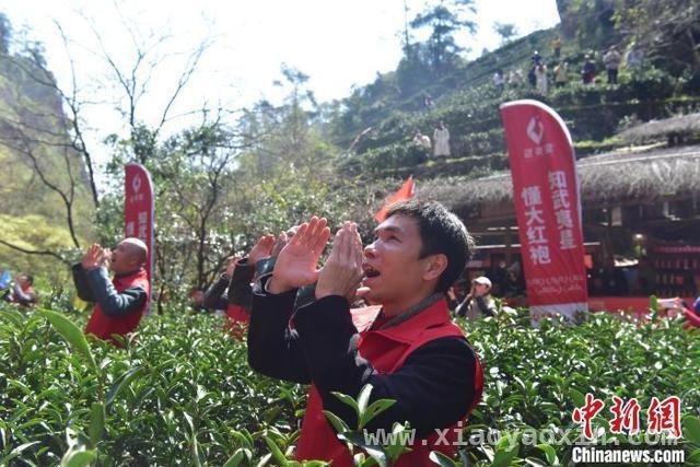 春分时节，武夷山“喊山祭茶”开启春茶季