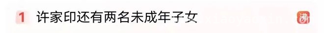 许家印“高龄产子”风波：家庭谜团与法律博弈 许家印私生子爆料：是拖延手段还是另有隐情？