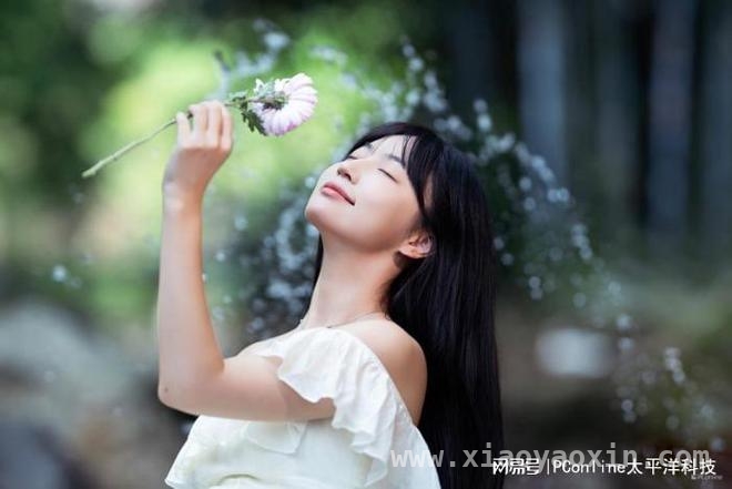 用尼康Z6Ⅲ，留住绿林里的美好瞬间，尼康Z6Ⅲ与尼克尔镜头：绿林里的人像拍摄神器
