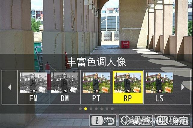 用尼康Z6Ⅲ，留住绿林里的美好瞬间，尼康Z6Ⅲ与尼克尔镜头：绿林里的人像拍摄神器