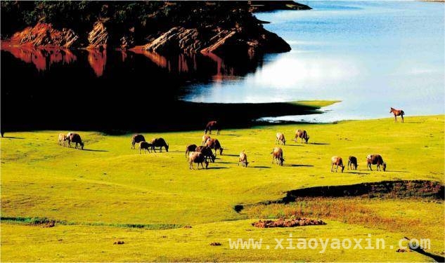 跟着张文旺的邀约，开启楚雄四季康养浪漫之旅，楚雄州长张文旺邀全球共赴四季康养旅居之约