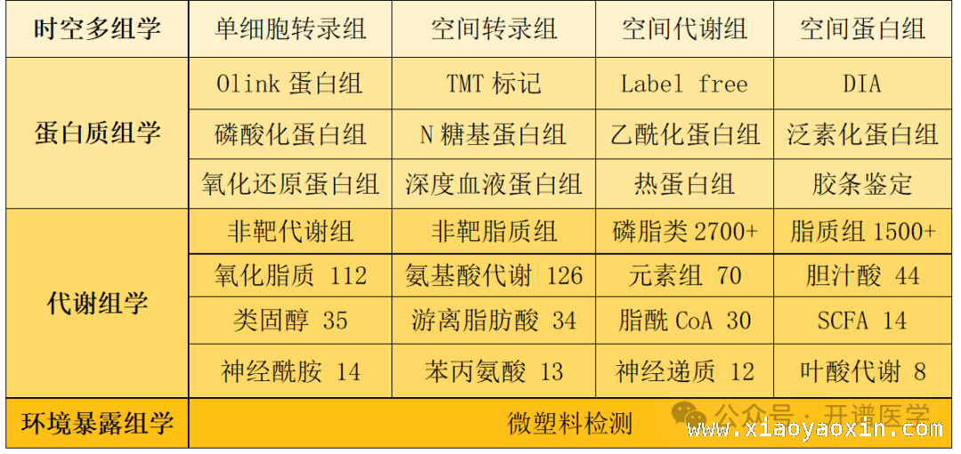 静脉注射背后的隐患：微塑料如何潜入你的身体？ 揭秘静脉注射：微塑料——看不见的健康威胁