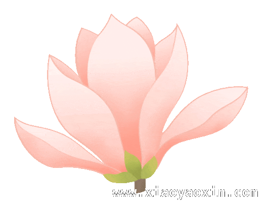 宿州杏花季，开启一场视觉盛宴，春日宿州，与杏花来一场浪漫之约