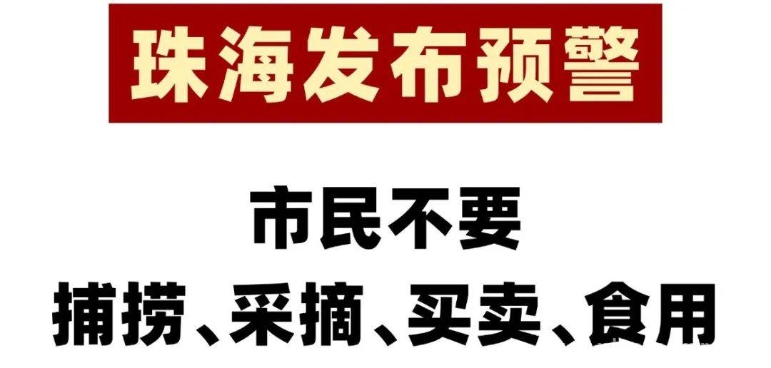 警惕！食用蟾蜍，珠海一男子付出生命代价，食用蟾蜍悲剧：珠海男子抢救无效身亡
