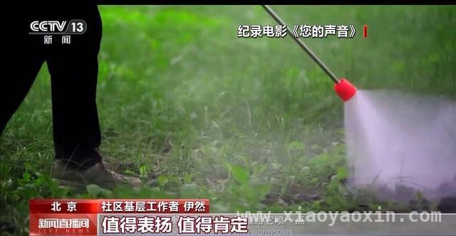 接诉即办纪录电影〈您的声音〉公映，基层工作者生活大变化！